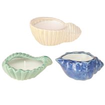 Kategoria Świece zapachowe