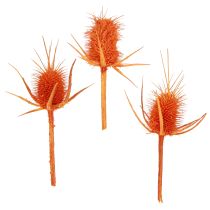 Kategoria Tyczki i gałęzie