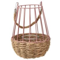 Kategoria Lampiony i latarnie