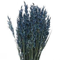 Suszone kwiaty, owies, suszone ziarno, dekoracja niebieska 68cm 230g