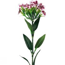 Produkt Brodaty Goździk Sztuczny Kwiat Fioletowy Biały Goździk 52cm