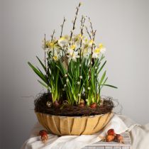 Produkt Doniczka okrągła, dekoracja kwiatowa, miska plastikowa, naczynie do aranżacji zielone, białe cętki W8,5cm Ø30cm