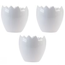 Produkt Doniczka ceramiczna z białkiem jajka Ø11,5cm W11,5cm 3 szt