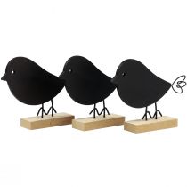 Produkt Ptaszki dekoracyjne czarne ptaszki drewniane dekoracja drewniana sprężyna 13,5cm 6 szt