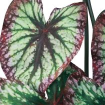 Produkt Begonia Sztuczne Rośliny Liść Begonie Zielony Fioletowy 62cm