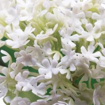 Produkt Sztuczny kwiat śnieżki Virburnum biały Ø8cm 64cm