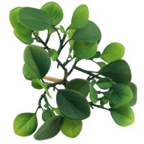 Produkt Sztuczna roślina zielona soczysta sztuczna zieleń W14cm