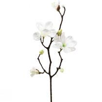 Sztuczny kwiat gałązki magnolii magnolia sztuczny biały 58cm