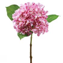 Produkt Hortensja sztuczny różowy sztuczny kwiat różowy Ø15,5cm 45cm