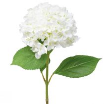 Produkt Hortensja dekoracyjna sztuczna biała hortensja śnieżna 65cm