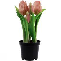 Produkt Sztuczne tulipany w doniczce Tulipany Brzoskwiniowe sztuczne kwiaty 22cm