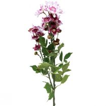 Produkt Sztuczne Kwiaty Sztuczne Astry Jedwabne Kwiaty Fioletowe 80cm