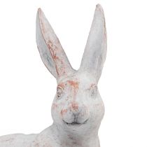 Produkt Królik siedzący królik dekoracyjny sztuczny kamień biały brązowy 15,5x8,5x22cm