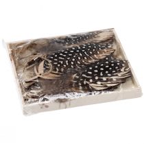 Produkt Dekoracyjna zawieszka z piórkiem drewniana z piórkiem naturalnym 9,5/10cm 9 szt