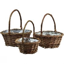Produkt Kosz z uchwytem Kosz na rośliny okrągły Ø27/23/19 cm, zestaw 3 szt