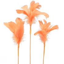 Produkt Pióra dekoracyjne pomarańczowe ptasie pióra na sztyfcie 36cm 12szt
