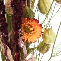 Bukiet suszonych kwiatów kwiaty słomy pomarańczowo-fioletowe 55cm 70g