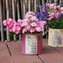 Produkt Puszka dekoracyjna w stylu shabby chic, metalowa, Ø11cm, wys. 10,5cm, różne kolory