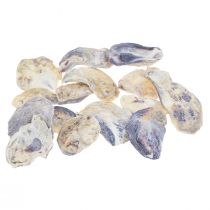 Muszle ostryg deco Muszelki dekoracja naturalna 2-6cm 250g