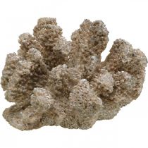 Dekoracja morska, zwierzę morskie, dekoracja koralowa polyresin 13,5x11,5cm