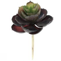 Produkt Soczyste Echeveria Sztuczne Rośliny Zielone Ø7cm 12cm 6 szt