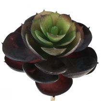 Produkt Soczyste Echeveria Sztuczne Rośliny Zielone Ø7cm 12cm 6 szt