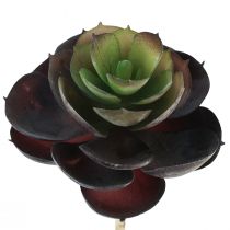 Produkt Soczysta Echeveria Sztuczne Rośliny Zielone Ø7cm 12cm 6szt