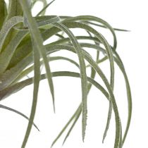 Produkt Tillandsia Soczyste Sztuczne Rośliny Zielone 13cm