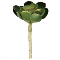 Sztuczna soczysta sztuczna roślina Echeveria Ø7cm
