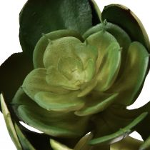 Produkt Sztuczna soczysta sztuczna roślina Echeveria Ø7cm