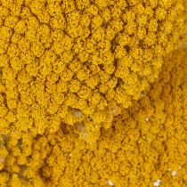 Produkt Achillea Natur Gelb Krwawnik pospolity suszone kwiaty żółte 1kg