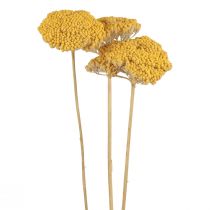 Produkt Kwiaty krwawnika suszonego Achillea millefolium 30g x 2szt
