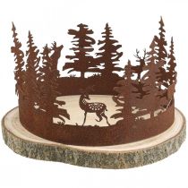Deer Deco Leśna Patyna Deco Kora Drzewa Naturalna Ø25-27cm