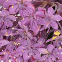 Produkt Sztuczny kwiat Allium, cebula ozdobna, elegancka dekoracja pokoju, 90 cm