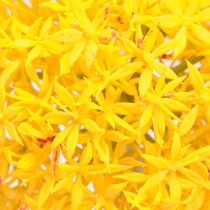 Produkt Allium Yellow Flower Sztuczna cebula 80cm Ø14,5cm 2szt