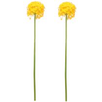 Produkt Allium Yellow Flower Sztuczna cebula 80cm Ø14,5cm 2szt