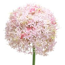 Produkt Allium z różowym kwiatem sztuczna cebula Ø18cm L90cm