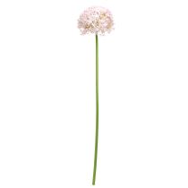 Produkt Allium z różowym kwiatem sztuczna cebula Ø18cm L90cm