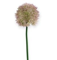 Sztuczny kwiat jedwabiu allium zielony, różowa cebula ozdobna jako sztuczny kwiat