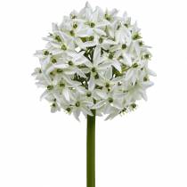 Produkt Kwiat Dekoracyjny Allium, Sztuczny Por Kulisty, Ozdobny Biały Ø20cm L72cm
