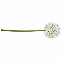 Produkt Kwiat Dekoracyjny Allium, Sztuczny Por Kulisty, Ozdobny Biały Ø20cm L72cm