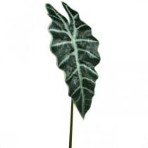Sztuczny liść strzałki sztuczna roślina alocasia deco green 74cm