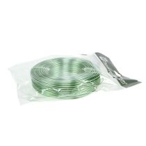 Produkt Drut aluminiowy 2mm 500g, 60m miętowo-zielony - drut do prac rękodzielniczych, dekoracji, florystyki i modelarstwa