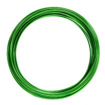 Produkt Drut aluminiowy 2mm 100g zielone jabłko