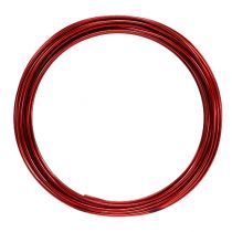 Produkt Drut aluminiowy 2mm 100g czerwony