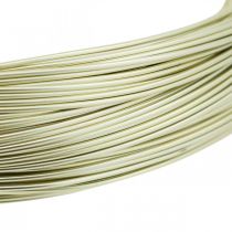 Produkt Drut aluminiowy Ø1mm drut jubilerski szampański okrągły 120g