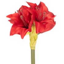 Produkt Sztuczny czerwony amarylis z łodygą, dekoracja kwiatowa na Boże Narodzenie, 50 cm