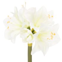 Produkt Sztuczny kwiat amarylis, biały, z łodygą, adwentowy i bożonarodzeniowy, 50 cm