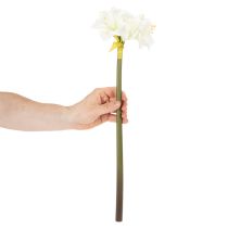 Produkt Sztuczny kwiat amarylis, biały, z łodygą, adwentowy i bożonarodzeniowy, 50 cm