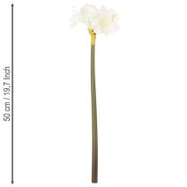 Produkt Sztuczny kwiat amarylis, biały, z łodygą, adwentowy i bożonarodzeniowy, 50 cm